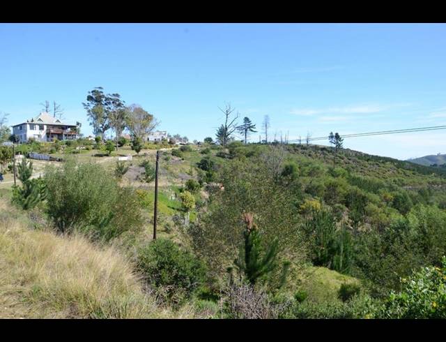 FARM FOR SALE IN RHEENENDAL